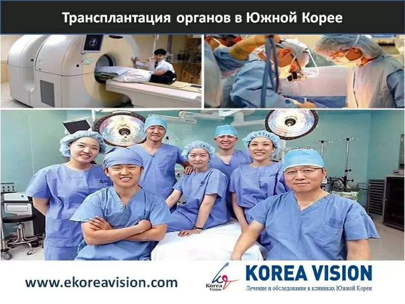 Трансплантация органов в Южной Корее Компания 